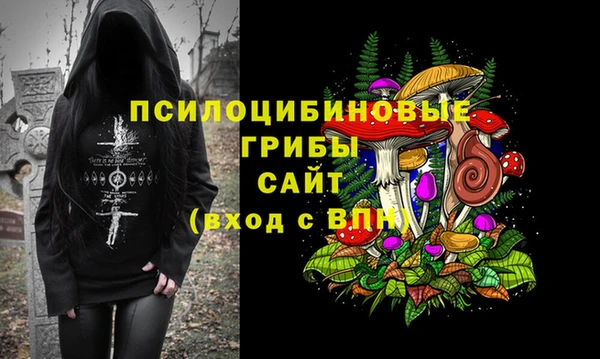 apvp Сосновка