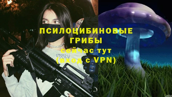 экстази Елизово