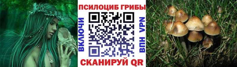 Галлюциногенные грибы Magic Shrooms  Тверь 
