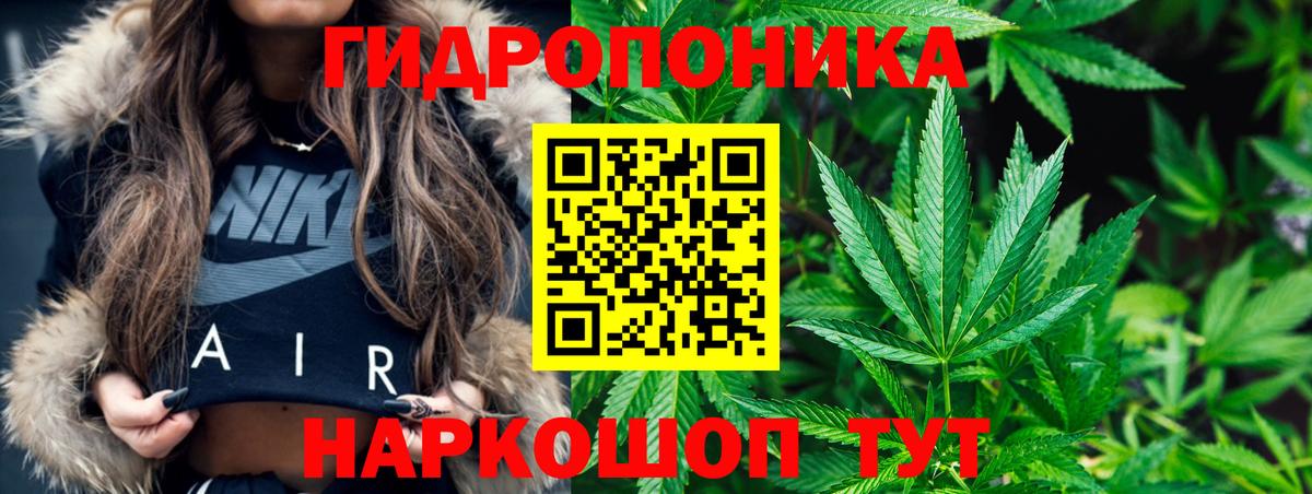 Шишки марихуана LSD WEED  Вход с VPN  Каннабис ГИДРОПОН  Бошки марихуана тримм  Тверь 